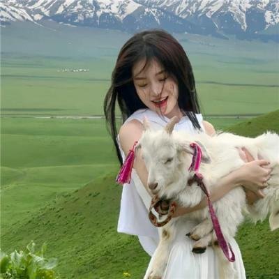 使用下方 20 个影片名，按顺序一一对应，不要改动片名文字，只根据片名和括号内类型提示来虚构全新的故事内容： 廿载风流梦 纽约提喻法 美丽在唱歌 爱的锦囊妙计 上海二十四小时 心理游戏 脏货恶人帮 美凤有约 白金龙 预言 夜刑者 师兄请按剧本来 琳达想吃鸡！ 是好朋友的攻略 静水城 珈百璃的堕落 满城艳史 骗徒奇遇记 暴雨朝阳 欺妻49天